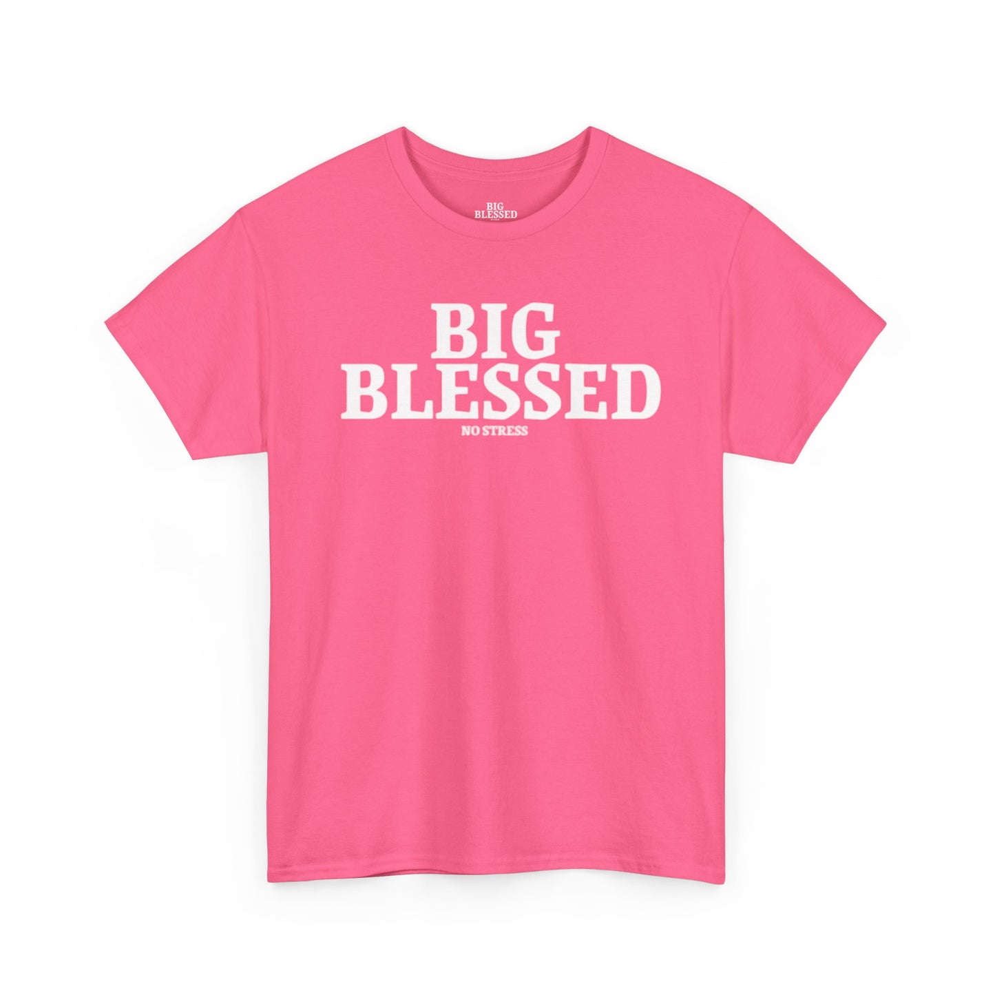 BIG BLESSED T-SHIRT