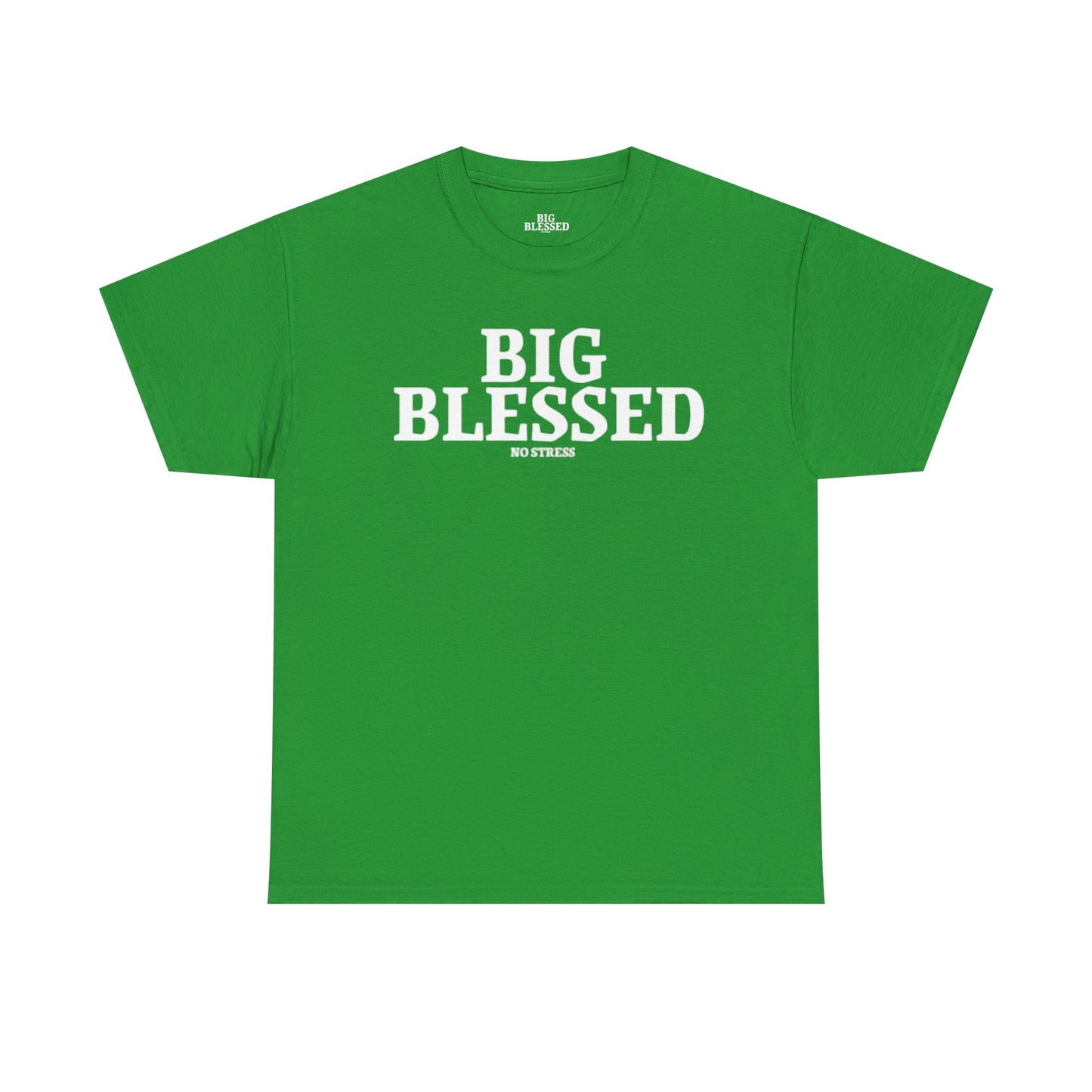 BIG BLESSED T-SHIRT