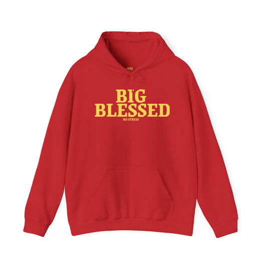 Big Blessed Hooded Sweatshirt