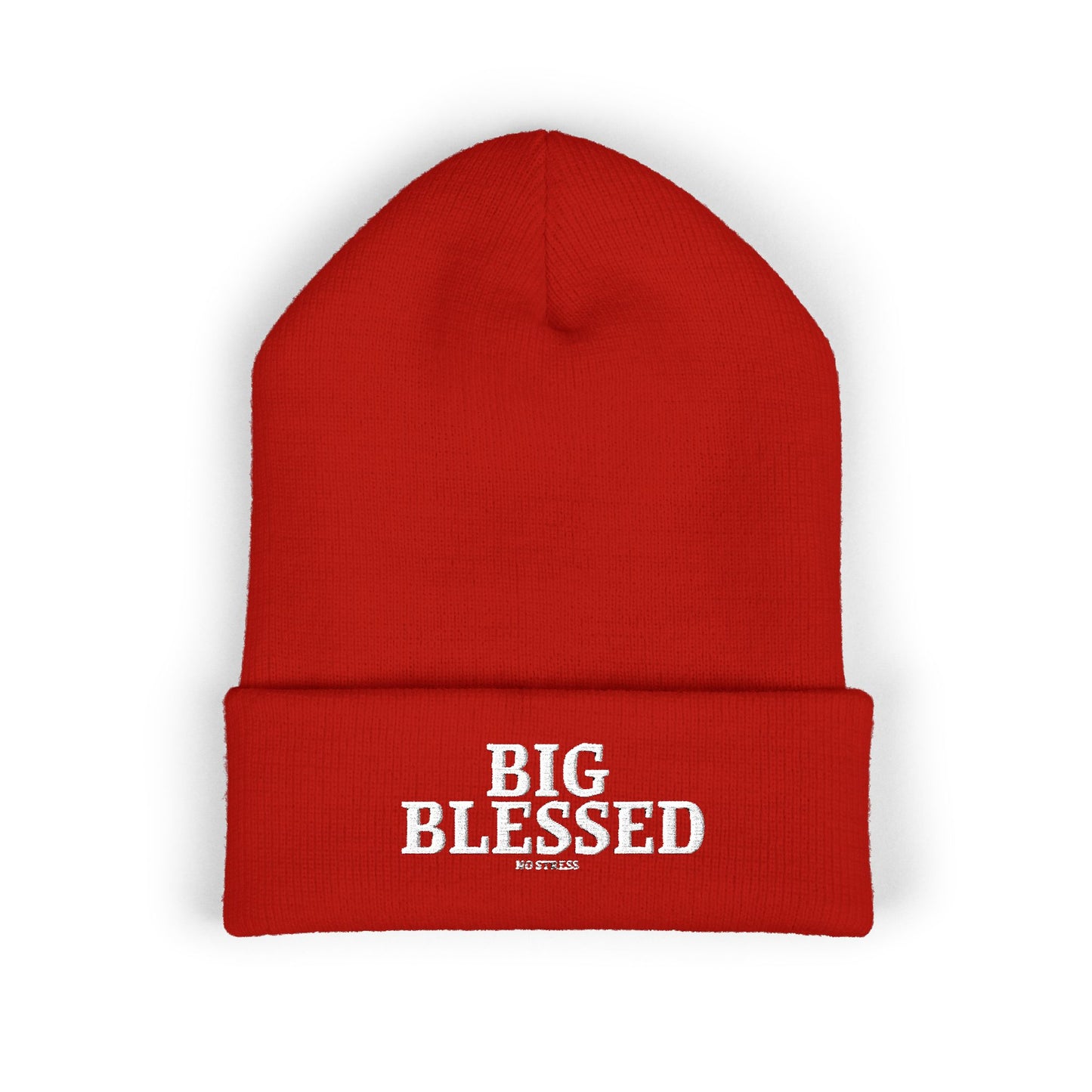 BIG BLESSED BEANIE