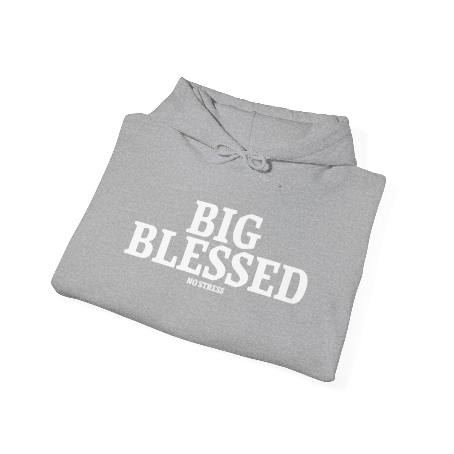BIG BLESSED HOODIE