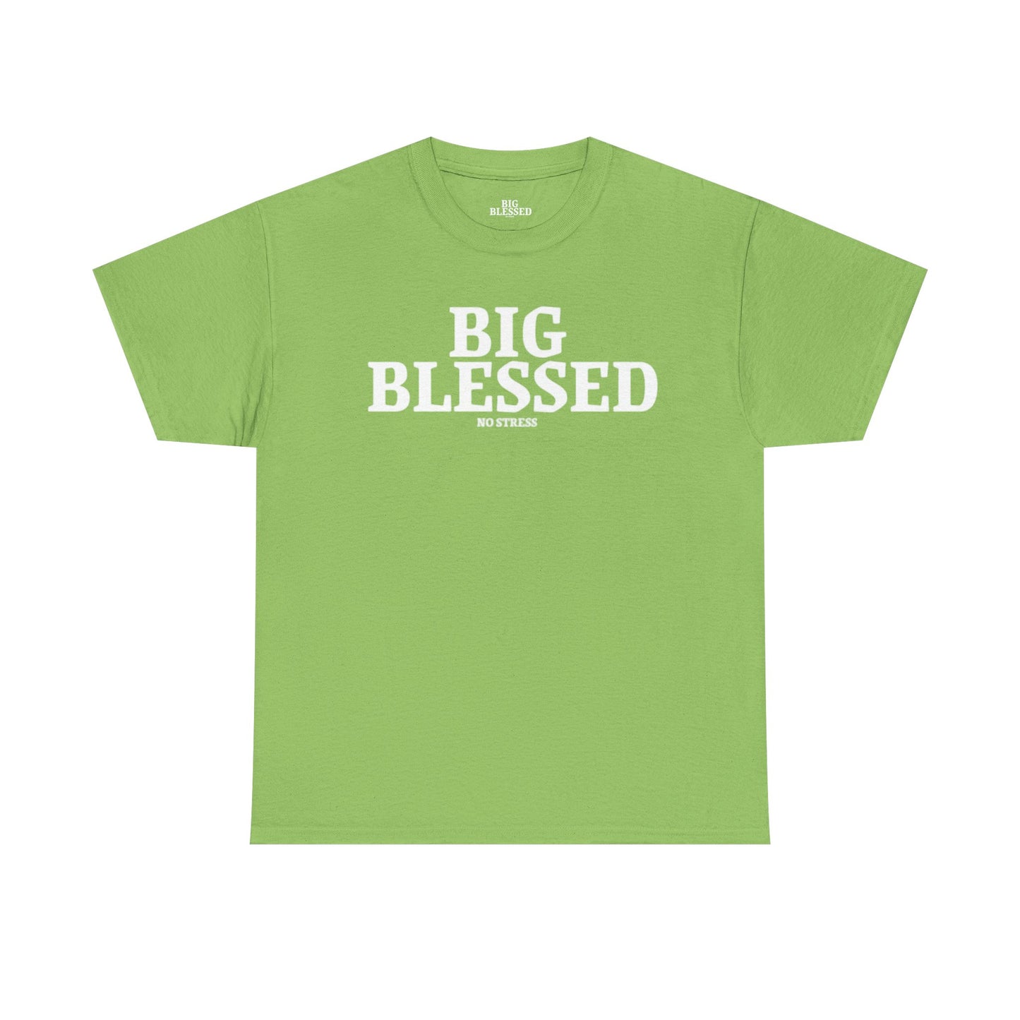 BIG BLESSED T-SHIRT