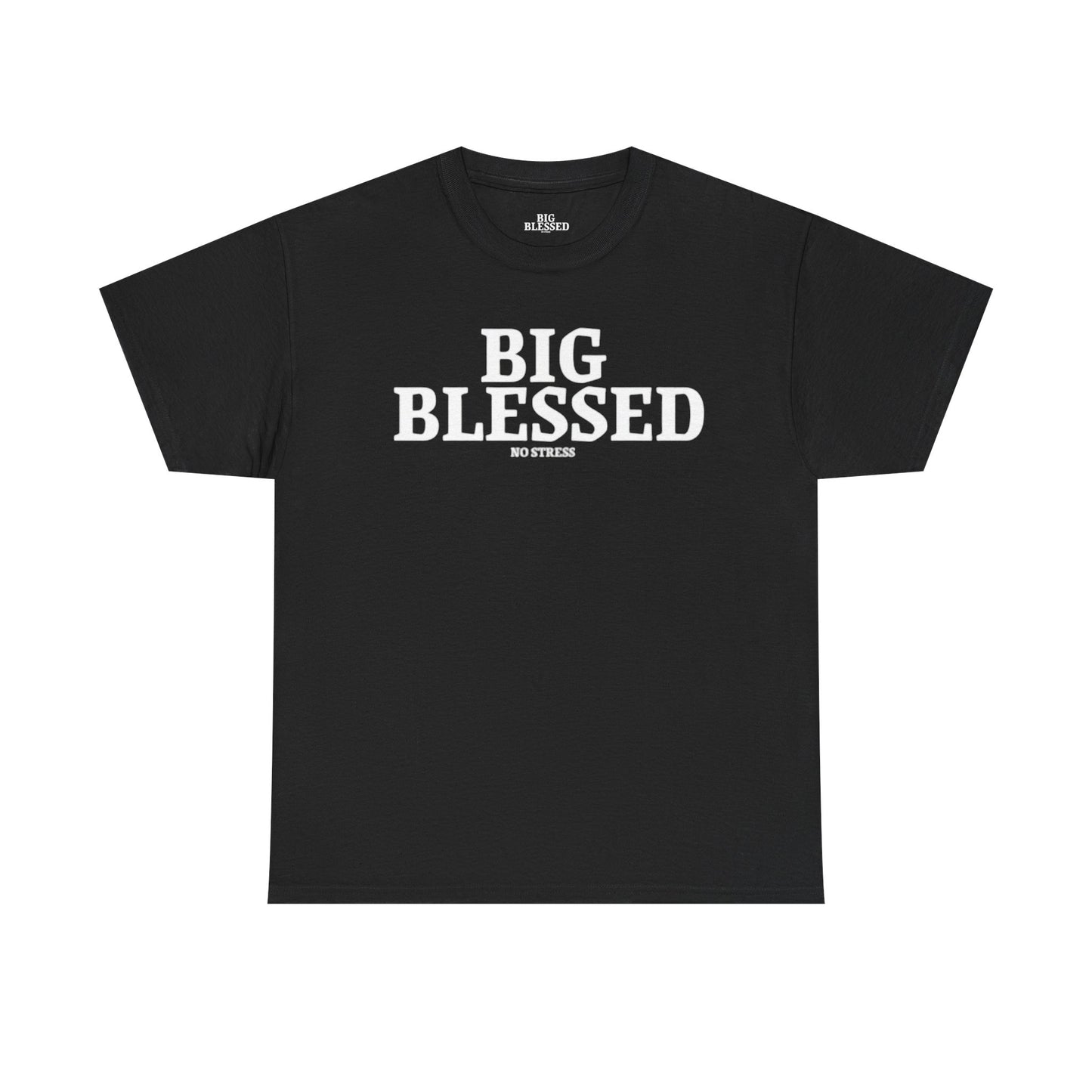 BIG BLESSED T-SHIRT
