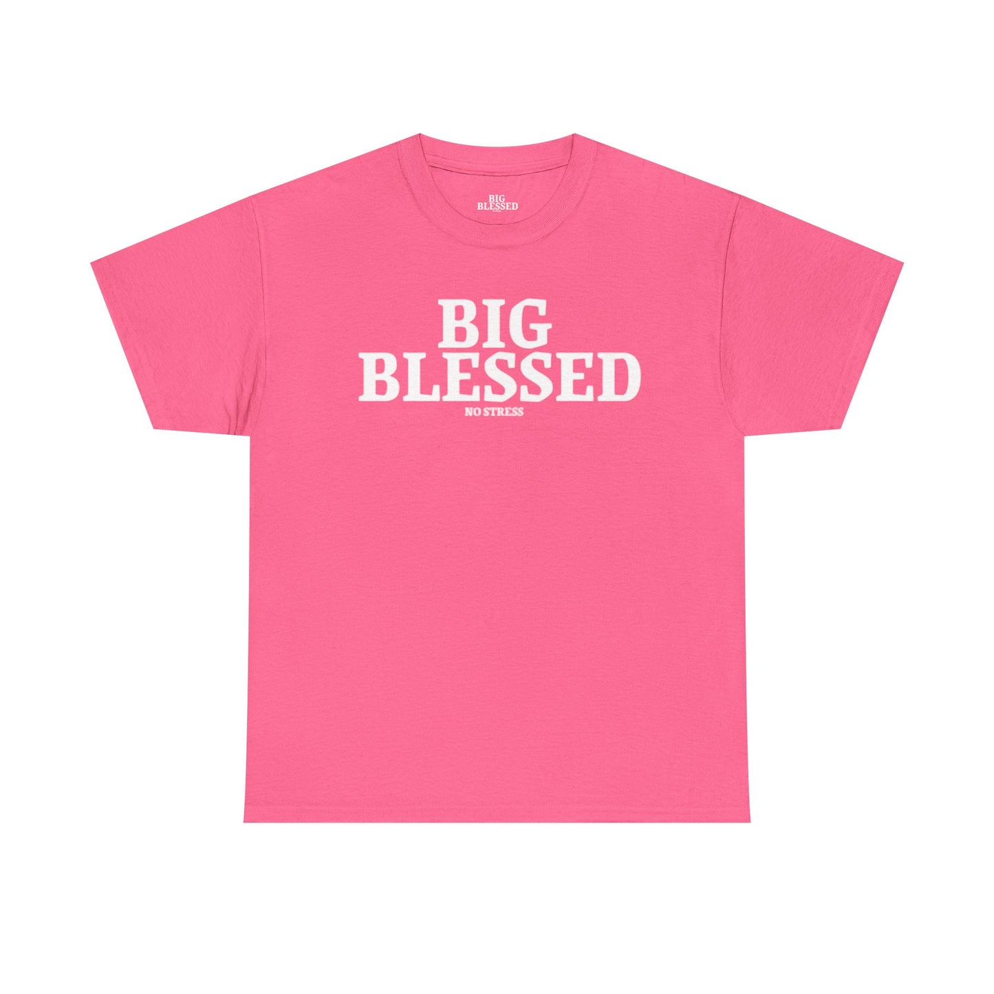 BIG BLESSED T-SHIRT