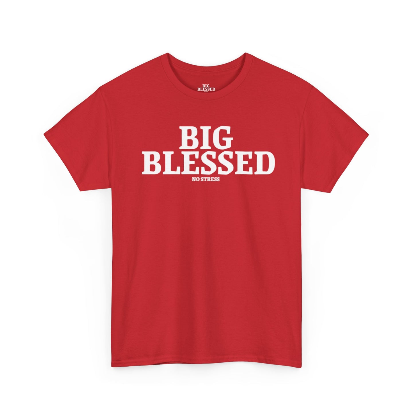 BIG BLESSED T-SHIRT