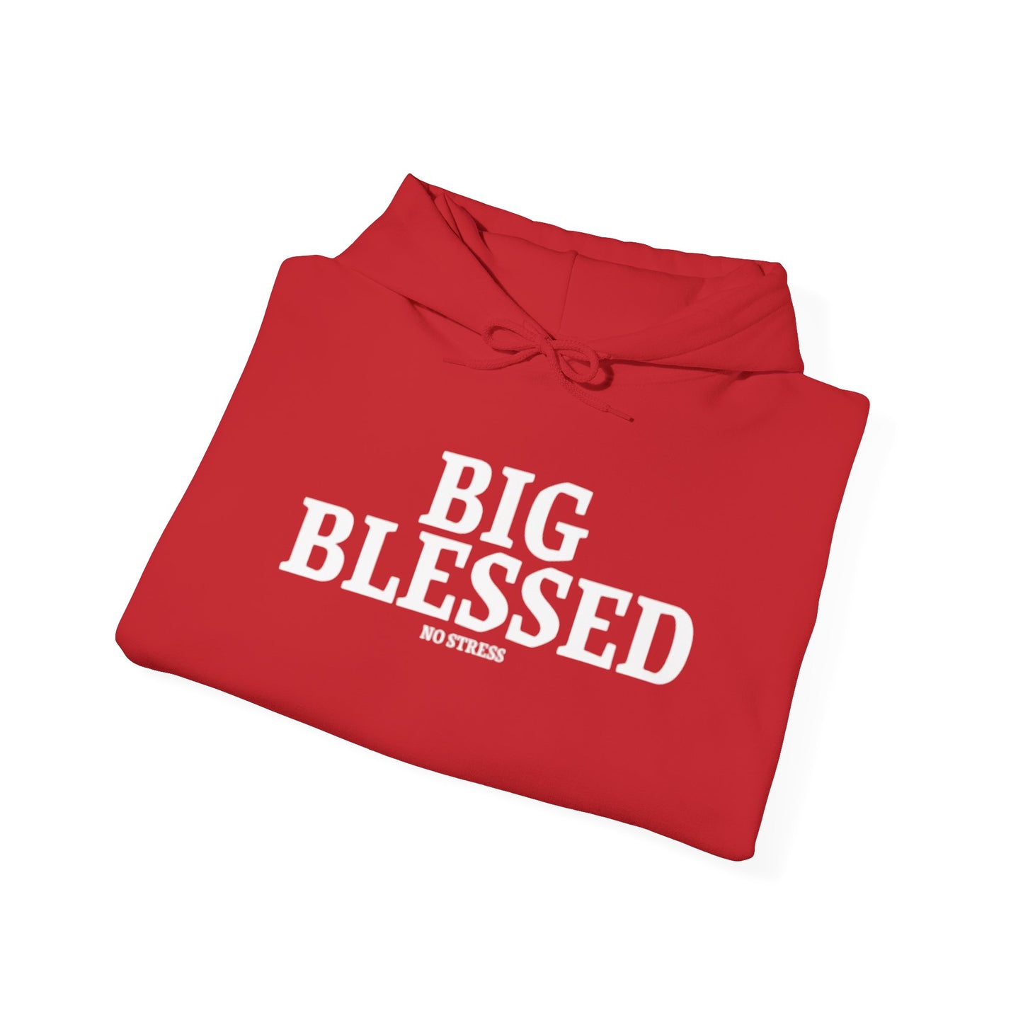 BIG BLESSED HOODIE