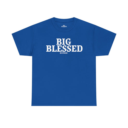 BIG BLESSED T-SHIRT