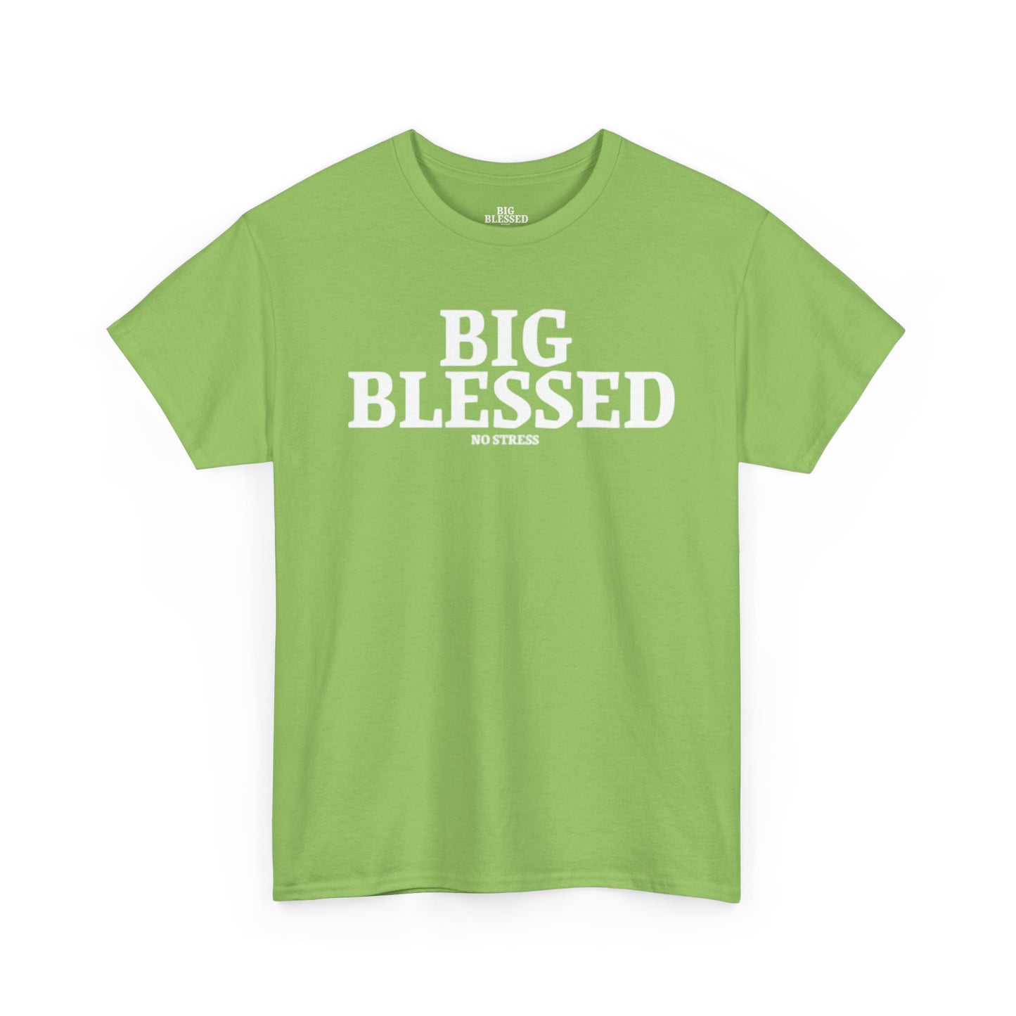 BIG BLESSED T-SHIRT