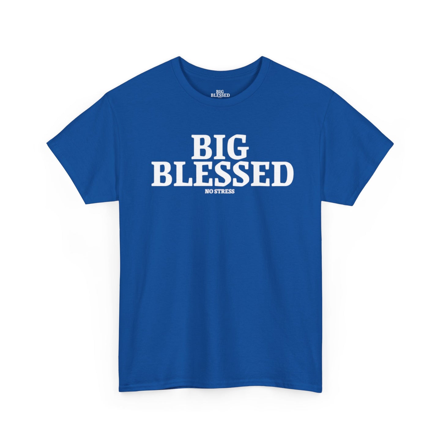 BIG BLESSED T-SHIRT