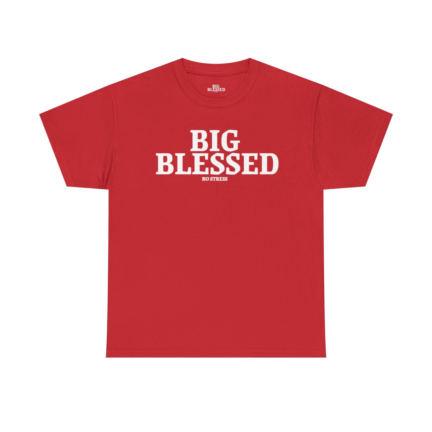 BIG BLESSED T-SHIRT
