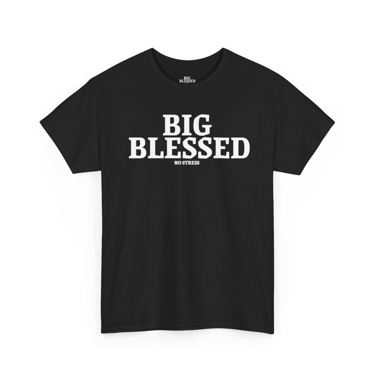 BIG BLESSED T-SHIRT