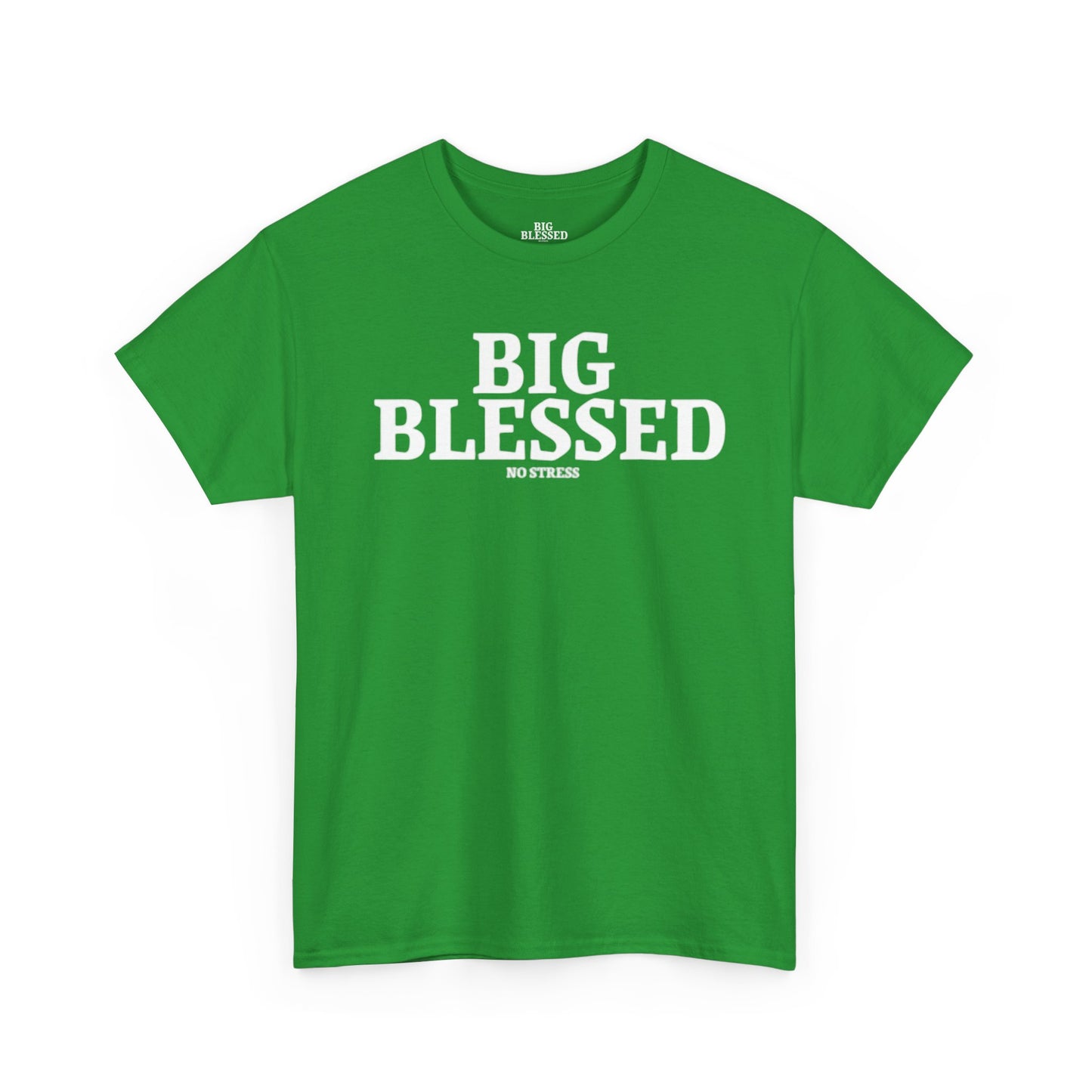 BIG BLESSED T-SHIRT